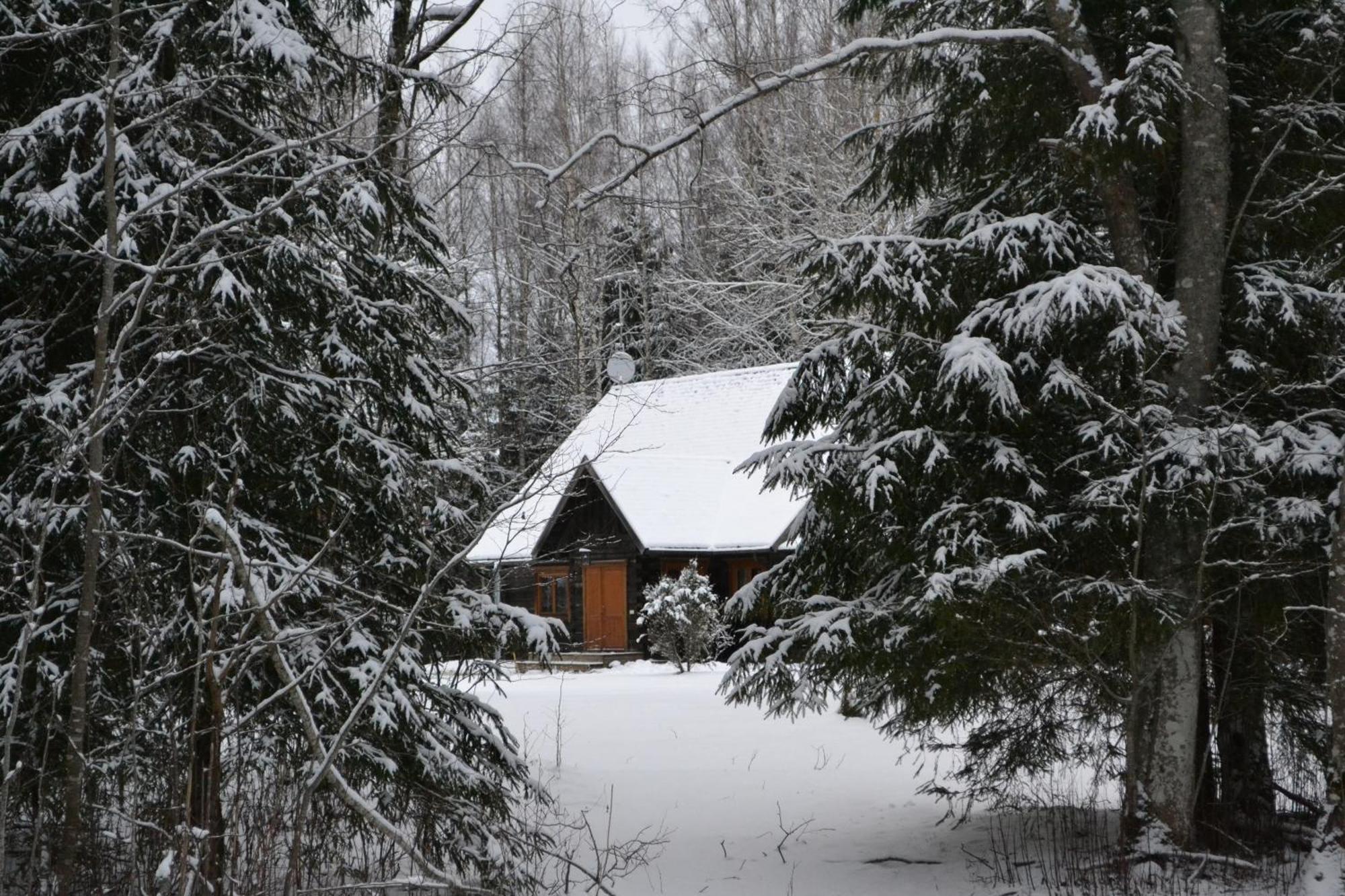 Toosikannu Nature Resort Käru Extérieur photo